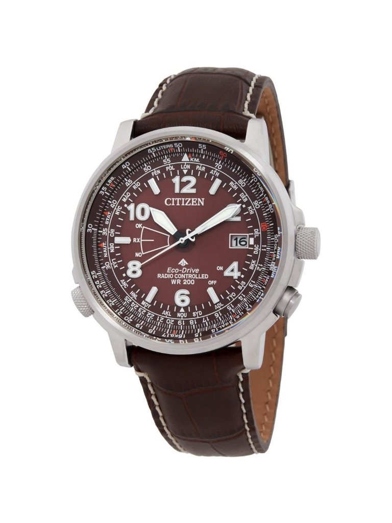 Nwt Citizen Promaster Sky Perpetual World Time Brown Dial Men's Watch